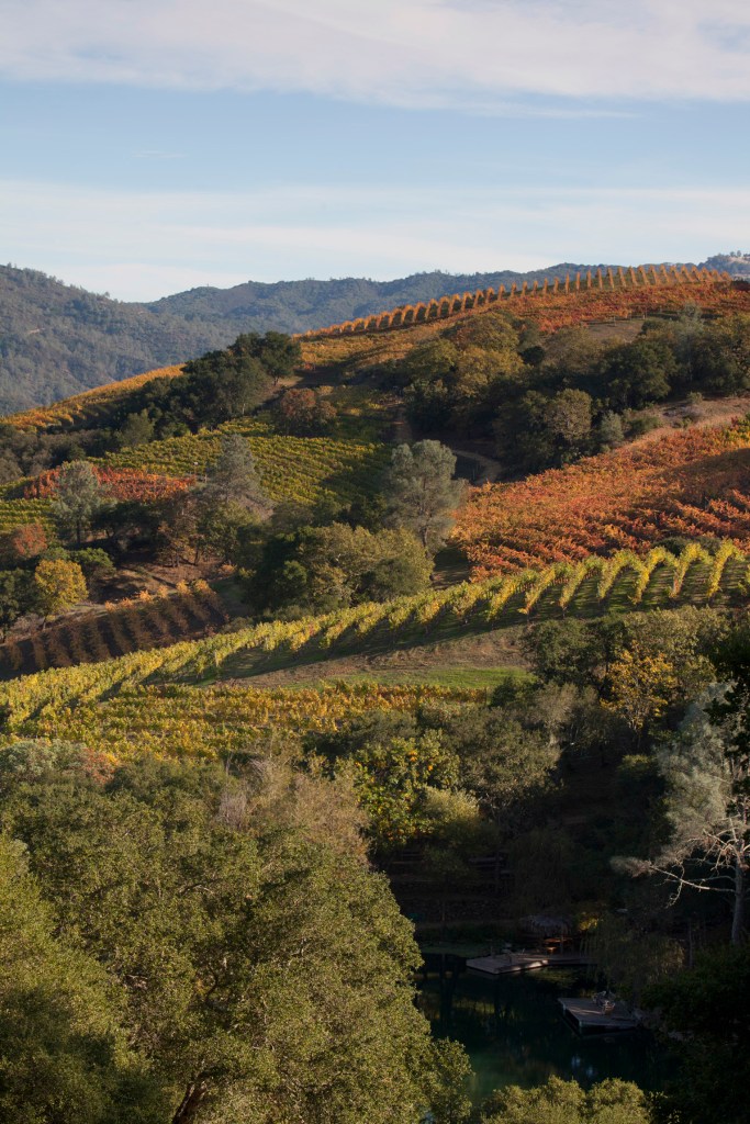 Kuleto Estate Vineyard Hills